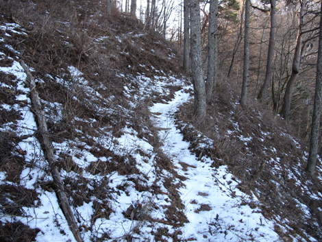 20181214hike (62)